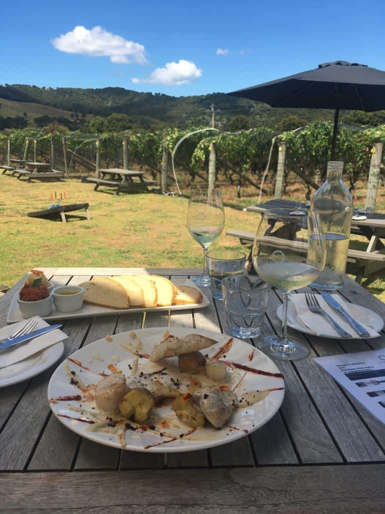 Vineyard Trip To Waiheke Island